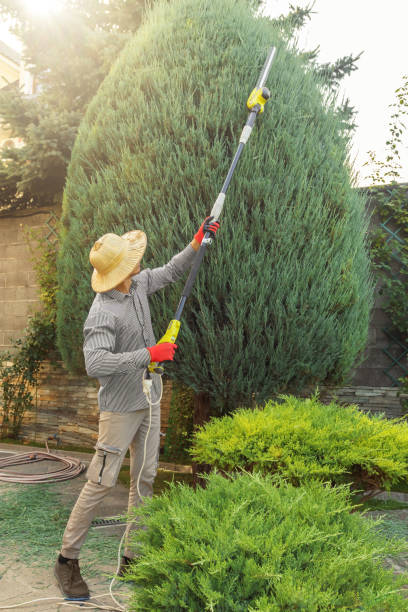  , NH Tree Services Pros